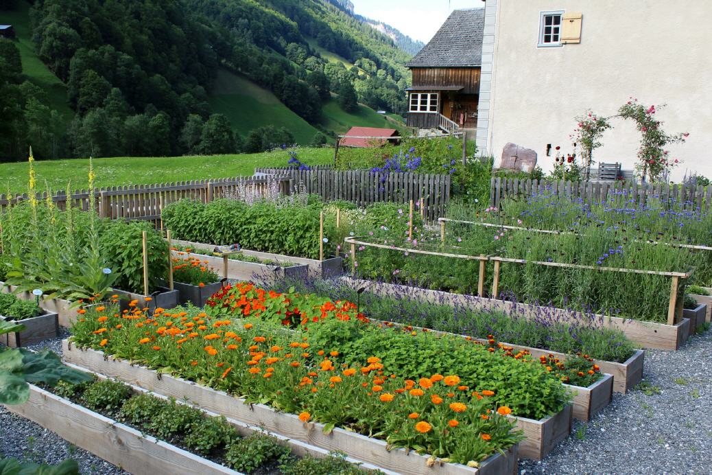 Farben und Duft der Kr&auml;uter sind einzigartig